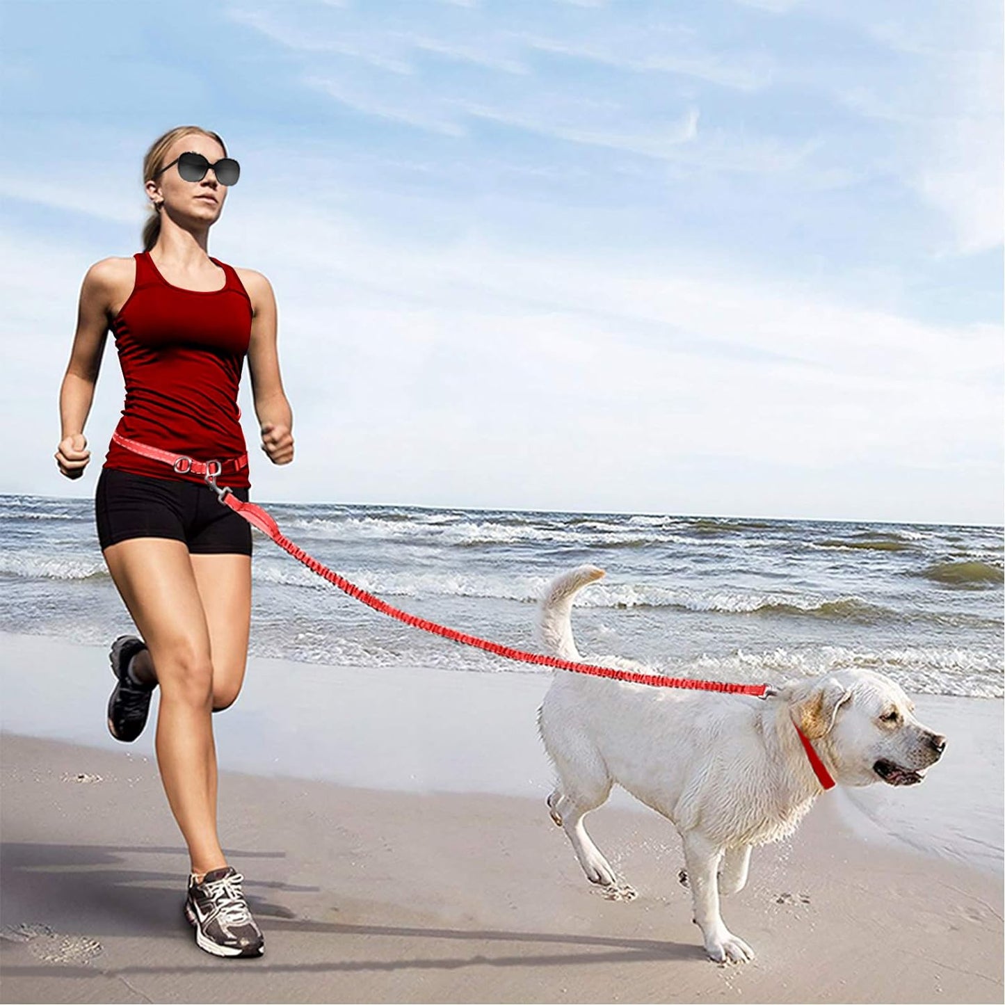Hands Free Dog Leash, Retractable Dog Running Leash, Elastic Bungee Dog Running Belt,Jogging Lead with Waist Belt for Dog Running, Walking and Hiking, Length Adjustable, Safety Buckle